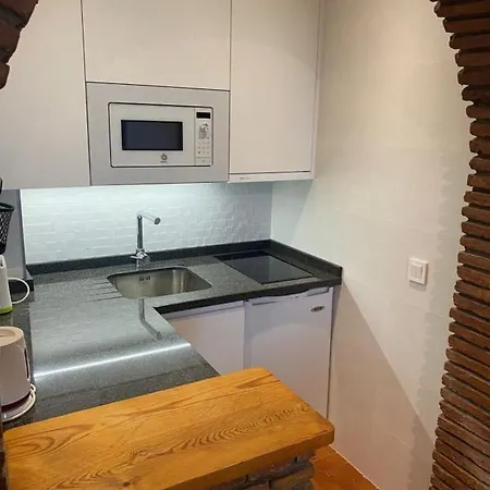 Palmeras 55 Menyber