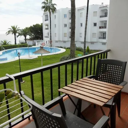 Palmeras 55 Menyber
