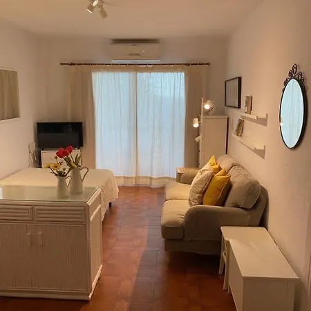 Palmeras 55 Menyber